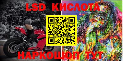 прущие грибы Мариинск