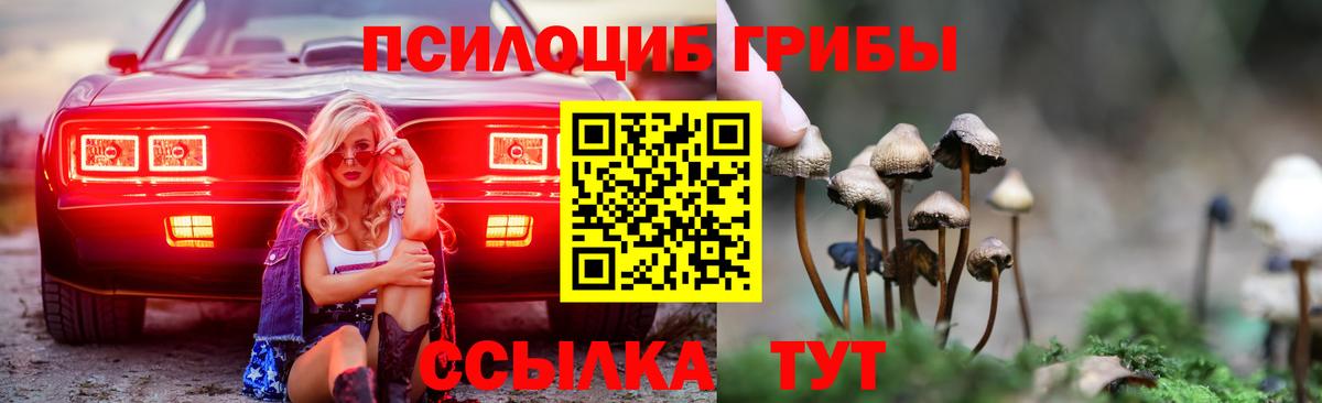 Псилоцибиновые грибы Psilocybe Шали