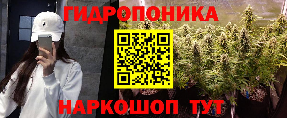 Шали  Марихуана OG Kush  Конопля AK-47  Вход с VPN 